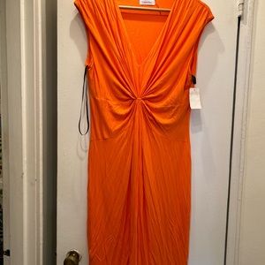 Calvin Klein dress